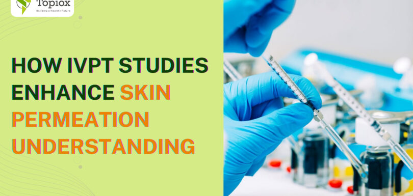 How IVPT Studies Enhance Skin Permeation Understanding