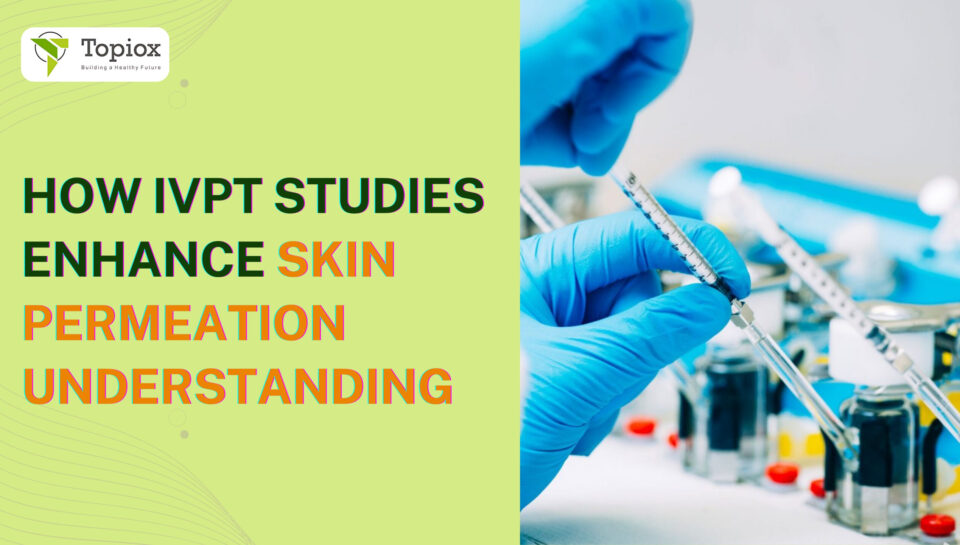 How IVPT Studies Enhance Skin Permeation Understanding