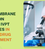 How Membrane Selection Affects IVPT Outcomes in Topical Drug Development